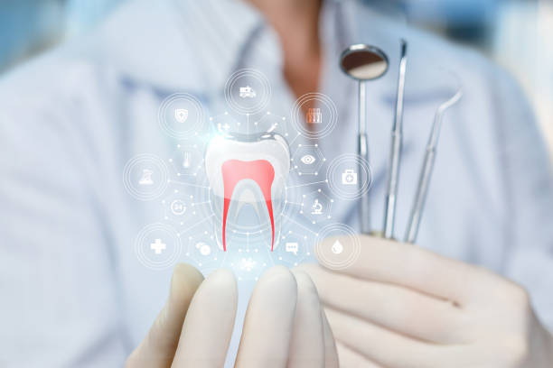 Pine Knoll Shores, NC Holistic Dental Care Services Company